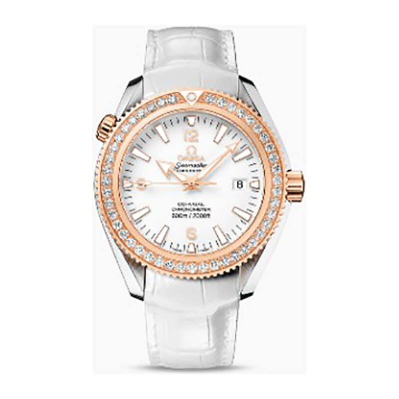 OMEGA-22228422004001