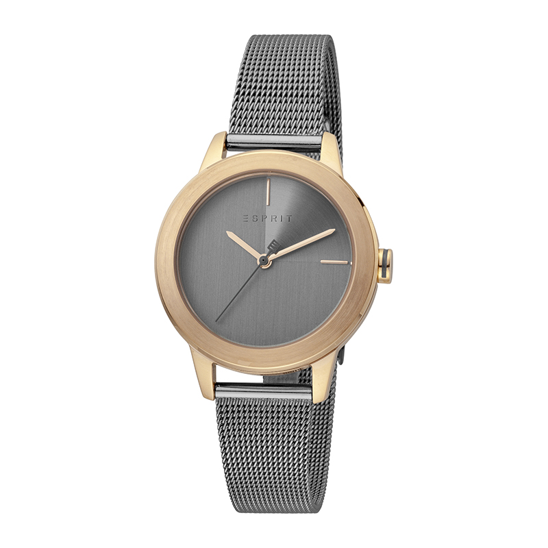 ESPRIT-ES1L105M0105